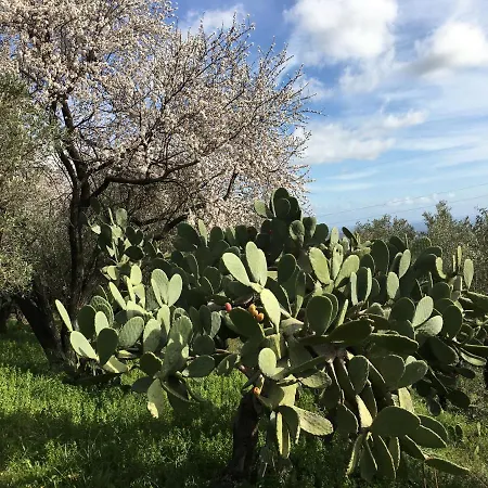 Agriturismo Petrara *
