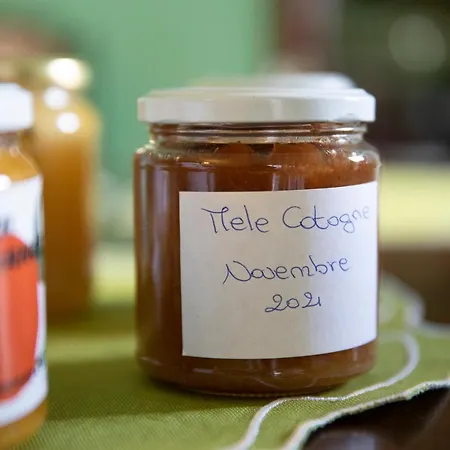 Petrara Simeri Crichi