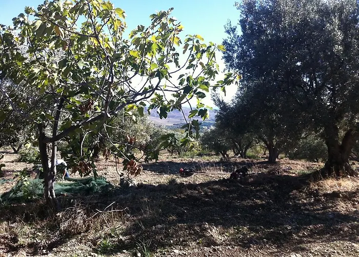 Petrara Alojamento de Turismo Rural