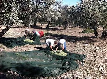 Petrara Simeri Crichi